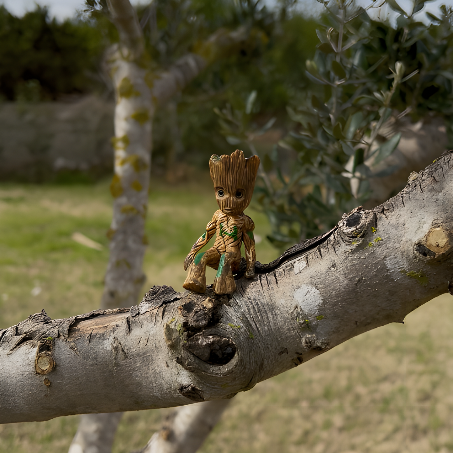 Miniature Garden Groot